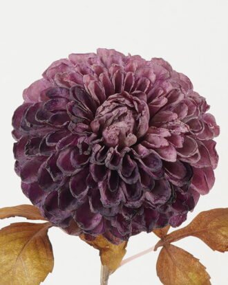 Artificial Flower 18*18*73cm Chrysanthemum single stem GS-14522008-Z1 Single Flowers YeahFlower is one of Chinese leading OEM manufacturers and exporters , supplying the silk flowers, wholesale artificial trees