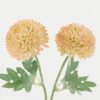 Artificial Flower 20*20*39cm Dahlia *2 single stem GS-05522082 Single Flowers YeahFlower is one of Chinese leading OEM manufacturers and exporters , supplying the silk flowers, wholesale artificial trees