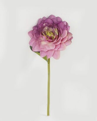 Artificial Flower 14*14*29cm Dahlia single stem GS-48222003-Z2 Single Flowers YeahFlower is one of Chinese leading OEM manufacturers and exporters , supplying the silk flowers, wholesale artificial trees Artificial Flower 14*14*29cm Dahlia single stem GS-48222003-Z2 Single Flowers YeahFlower is one of Chinese leading OEM manufacturers and exporters , supplying the silk flowers, wholesale artificial trees