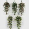 Artificial Flower Flower 5 81 Hanging Bush GS-36622073CONTI_4 Artificial Flower 23*23*74cm Flower *5 *81 Hanging Bush GS-36622073CONTI Banners&Garlands YeahFlower is one of Chinese leading OEM manufacturers and exporters , supplying the silk flowers, wholesale artificial trees
