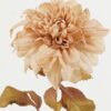 Artificial Flower 13*13*73cm Flower single stem GS-14522026-C1 Single Flowers YeahFlower is one of Chinese leading OEM manufacturers and exporters , supplying the silk flowers, wholesale artificial trees