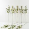 Artificial Flower 10*8*93cm Gourd fruit * 3 forks GS-26222026 Single Flowers YeahFlower is one of Chinese leading OEM manufacturers and exporters , supplying the silk flowers, wholesale artificial trees