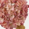 Artificial Flower 25*25*82cm Hydrangea single stem GS-14522015-P1 Single Flowers YeahFlower is one of Chinese leading OEM manufacturers and exporters , supplying the silk flowers, wholesale artificial trees