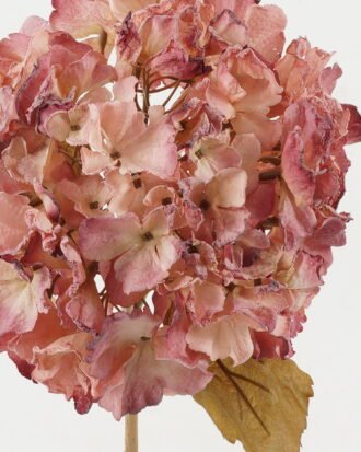 Artificial Flower 25*25*82cm Hydrangea single stem GS-14522015-P1 Single Flowers YeahFlower is one of Chinese leading OEM manufacturers and exporters , supplying the silk flowers, wholesale artificial trees