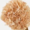 Artificial Flower 25*25*82cm Hydrangea single stem GS-14522015 Single Flowers YeahFlower is one of Chinese leading OEM manufacturers and exporters , supplying the silk flowers, wholesale artificial trees