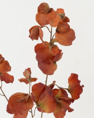 Artificial Flower 18*18*74cm Leaf single stem GS-14522009-K1 Single Flowers YeahFlower is one of Chinese leading OEM manufacturers and exporters , supplying the silk flowers, wholesale artificial trees