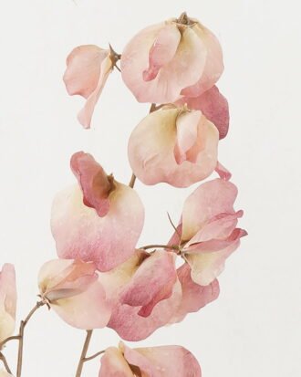 Artificial Flower 18*18*74cm Leaf single stem GS-14522009-P1 Single Flowers YeahFlower is one of Chinese leading OEM manufacturers and exporters , supplying the silk flowers, wholesale artificial trees