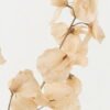 Artificial Flower 18*18*74cm Leaf single stem GS-14522009 Single Flowers YeahFlower is one of Chinese leading OEM manufacturers and exporters , supplying the silk flowers, wholesale artificial trees