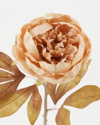 Artificial Flower 18*18*66cm Peony single stem GS-14522010-C1 Single Flowers YeahFlower is one of Chinese leading OEM manufacturers and exporters , supplying the silk flowers, wholesale artificial trees