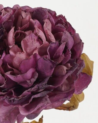 Artificial Flower 25*25*76cm Peony single stem GS-14522025-Z1 Single Flowers YeahFlower is one of Chinese leading OEM manufacturers and exporters , supplying the silk flowers, wholesale artificial trees