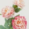 Artificial Flower 20*20*61 CM PeonySingle stem*3 GS-67922013-P1 Single Flowers YeahFlower is one of Chinese leading OEM manufacturers and exporters , supplying the silk flowers, wholesale artificial trees