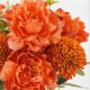 Artificial Flower 30*30*41 CM Peonybush *9 GS-67922007-O1 Flowers Bush YeahFlower is one of Chinese leading OEM manufacturers and exporters , supplying the silk flowers, wholesale artificial trees