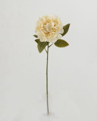 Artificial Flower 18*18*66cm Poeny single stem GS-06022003-W1 Single Flowers YeahFlower is one of Chinese leading OEM manufacturers and exporters , supplying the silk flowers, wholesale artificial trees Artificial Flower 18*18*66cm Poeny single stem GS-06022003-W1 Single Flowers YeahFlower is one of Chinese leading OEM manufacturers and exporters , supplying the silk flowers, wholesale artificial trees