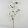 Artificial Flower 10*10*110cm Rattan pear flower GS-26222029 Single Flowers YeahFlower is one of Chinese leading OEM manufacturers and exporters , supplying the silk flowers, wholesale artificial trees