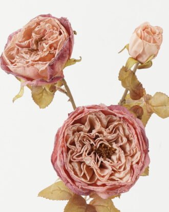 Artificial Flower 19*19*59cm Rose *3 single stem GS-14522013 Single Flowers YeahFlower is one of Chinese leading OEM manufacturers and exporters , supplying the silk flowers, wholesale artificial trees