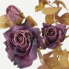 Artificial Flower Rose 5 single stem GS-14522014-Z1_1 Artificial Flower 23*23*70cm Rose *5 single stem GS-14522014-Z1 Single Flowers YeahFlower is one of Chinese leading OEM manufacturers and exporters , supplying the silk flowers, wholesale artificial trees