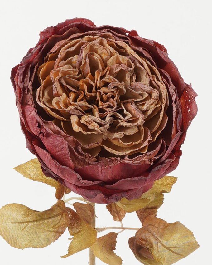 Artificial Flower Rose single stem GS-14522006-R1_1 Artificial Flower 18*18*64cm Rose single stem GS-14522006-R1 Single Flowers YeahFlower is one of Chinese leading OEM manufacturers and exporters , supplying the silk flowers, wholesale artificial trees