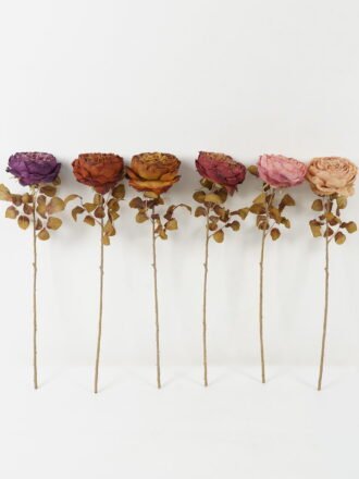 Artificial Flower 18*18*64cm Rose single stem GS-14522006-K1 Single Flowers 3,000+ sqm showroom with thousands of artificial flowers, plants & trees ready for global sourcing.