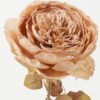 Artificial Flower 18*18*64cm Rose single stem GS-14522006 Single Flowers YeahFlower is one of Chinese leading OEM manufacturers and exporters , supplying the silk flowers, wholesale artificial trees