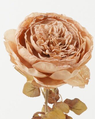 Artificial Flower 18*18*64cm Rose single stem GS-14522006 Single Flowers YeahFlower is one of Chinese leading OEM manufacturers and exporters , supplying the silk flowers, wholesale artificial trees
