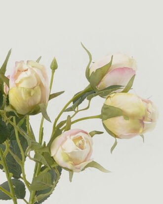 Artificial Flower 20*20*47cm Rose single stem GS-48222005-P3 Single Flowers YeahFlower is one of Chinese leading OEM manufacturers and exporters , supplying the silk flowers, wholesale artificial trees Artificial Flower 20*20*47cm Rose single stem GS-48222005-P3 Single Flowers YeahFlower is one of Chinese leading OEM manufacturers and exporters , supplying the silk flowers, wholesale artificial trees