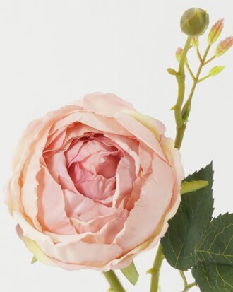 Artificial Flower 15*15*44cm Rose single stem GS-48222006-P2 Single Flowers YeahFlower is one of Chinese leading OEM manufacturers and exporters , supplying the silk flowers, wholesale artificial trees Artificial Flower 15*15*44cm Rose single stem GS-48222006-P2 Single Flowers YeahFlower is one of Chinese leading OEM manufacturers and exporters , supplying the silk flowers, wholesale artificial trees