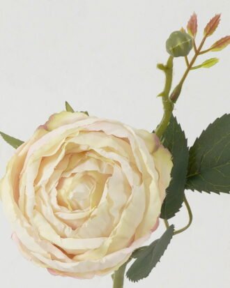 Artificial Flower 15*15*44cm Rose single stem GS-48222006-P3 Single Flowers YeahFlower is one of Chinese leading OEM manufacturers and exporters , supplying the silk flowers, wholesale artificial trees Artificial Flower 15*15*44cm Rose single stem GS-48222006-P3 Single Flowers YeahFlower is one of Chinese leading OEM manufacturers and exporters , supplying the silk flowers, wholesale artificial trees