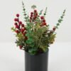 Artificial Flower tiny leaf and berry in pp pot GS-66222055_1 Artificial Flower 20*20*35CM tiny leaf and berry in pp pot GS-66222055 Christmas Item YeahFlower is one of Chinese leading OEM manufacturers and exporters , supplying the silk flowers, wholesale artificial trees