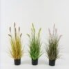 Artificial Grass 30*30*60cm Grass *7 in PP pot GS-45722019 Grass&PLANT YeahFlower is one of Chinese leading OEM manufacturers and exporters , supplying the silk flowers, wholesale artificial trees