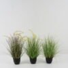 Artificial Grass Grass 7 in PP pot GS-45722023 Artificial Grass 40*40*60cm Grass *7 in PP pot GS-45722023 Grass&PLANT YeahFlower is one of Chinese leading OEM manufacturers and exporters , supplying the silk flowers, wholesale artificial trees