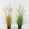 Artificial Grass Setaria viridis 10 in PP pot GS-45722022 Artificial Grass 50*50*85cm Setaria viridis *10 in PP pot GS-45722022 Grass&PLANT YeahFlower is one of Chinese leading OEM manufacturers and exporters , supplying the silk flowers, wholesale artificial trees