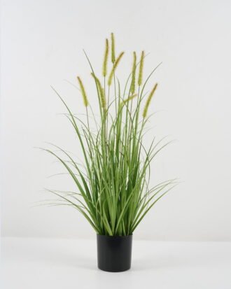 Artificial Grass 50*50*85cm Setaria viridis *10 in PP pot GS-45722022 Grass&PLANT YeahFlower is one of Chinese leading OEM manufacturers and exporters , supplying the silk flowers, wholesale artificial trees Artificial Grass 50*50*85cm Setaria viridis *10 in PP pot GS-45722022 Grass&PLANT YeahFlower is one of Chinese leading OEM manufacturers and exporters , supplying the silk flowers, wholesale artificial trees