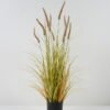 Artificial Grass Setaria viridis 10 in PP pot GS-45722022_2 Artificial Grass 50*50*85cm Setaria viridis *10 in PP pot GS-45722022 Grass&PLANT YeahFlower is one of Chinese leading OEM manufacturers and exporters , supplying the silk flowers, wholesale artificial trees