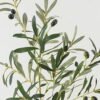 Artificial Plant 103cm Olive Leaf Spray *10 GS-17722041 Leaves&Sprays&Foliages YeahFlower is one of Chinese leading OEM manufacturers and exporters , supplying the silk flowers, wholesale artificial trees