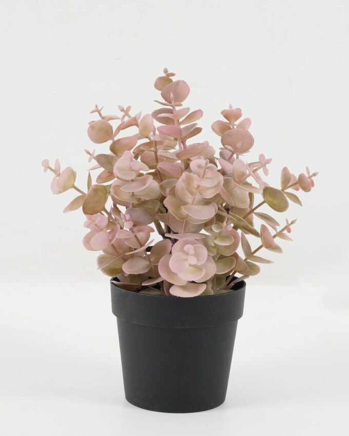 Artificial Plant Eucalyptus leaves in PP pot GS-05522072-O1_5 Artificial Plant 18*18*22cm Eucalyptus leaves in PP pot GS-05522072-O1 Potted Flowers&Plants YeahFlower is one of Chinese leading OEM manufacturers and exporters , supplying the silk flowers, wholesale artificial trees