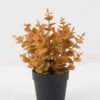 Artificial Plant 18*18*22cm Eucalyptus leaves in PP pot GS-05522072-R1 Potted Flowers&Plants YeahFlower is one of Chinese leading OEM manufacturers and exporters , supplying the silk flowers, wholesale artificial trees