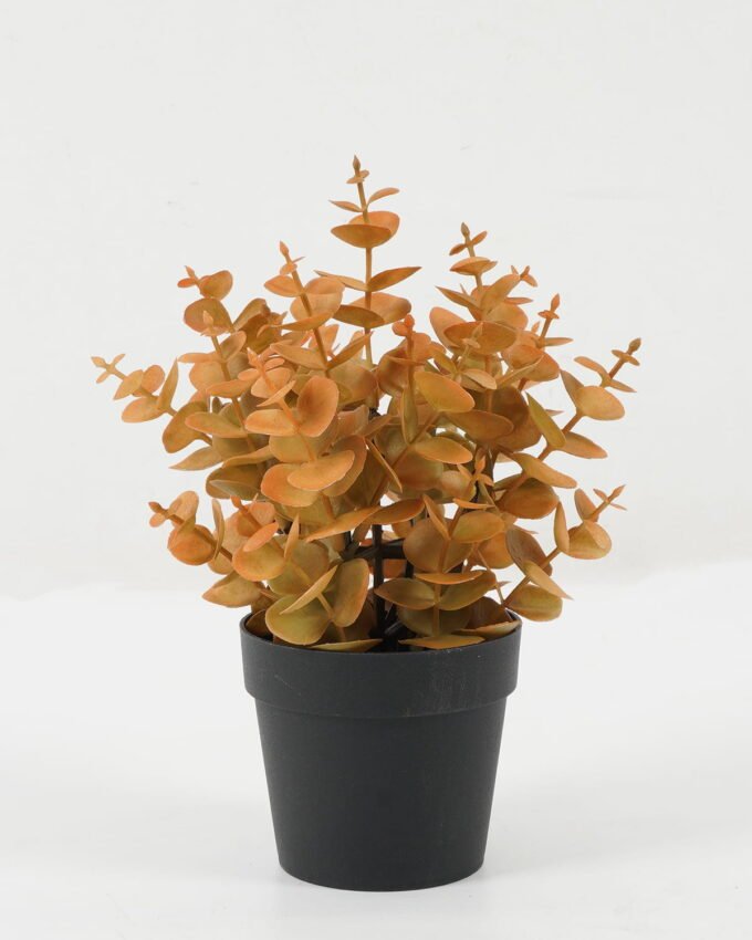 Artificial Plant 18*18*22cm Eucalyptus leaves in PP pot GS-05522072-R1 Potted Flowers&Plants YeahFlower is one of Chinese leading OEM manufacturers and exporters , supplying the silk flowers, wholesale artificial trees