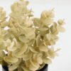 Artificial Plant 18*18*22cm Eucalyptus leaves in PP pot GS-05522072 Potted Flowers&Plants YeahFlower is one of Chinese leading OEM manufacturers and exporters , supplying the silk flowers, wholesale artificial trees