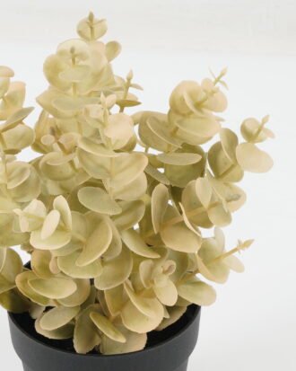 Artificial Plant 18*18*22cm Eucalyptus leaves in PP pot GS-05522072 Potted Flowers&Plants YeahFlower is one of Chinese leading OEM manufacturers and exporters , supplying the silk flowers, wholesale artificial trees