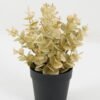 Artificial Plant 18*18*22cm Eucalyptus leaves in PP pot GS-05522072 Potted Flowers&Plants YeahFlower is one of Chinese leading OEM manufacturers and exporters , supplying the silk flowers, wholesale artificial trees