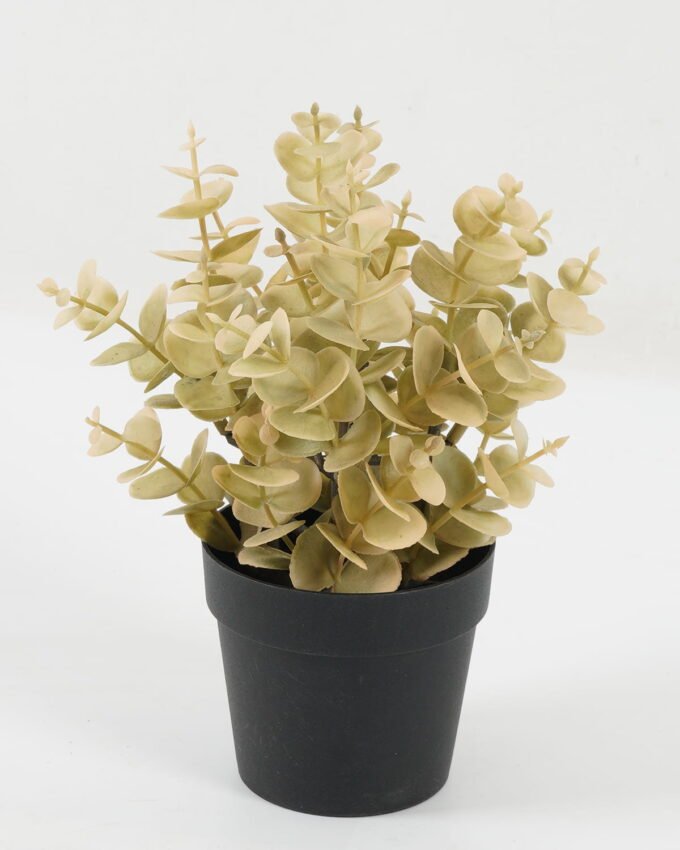 Artificial Plant 18*18*22cm Eucalyptus leaves in PP pot GS-05522072 Potted Flowers&Plants YeahFlower is one of Chinese leading OEM manufacturers and exporters , supplying the silk flowers, wholesale artificial trees
