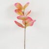 Artificial Plant 10*10*27cm Eucalyptus single stem GS-53422001-R1 Leaves&Sprays&Foliages YeahFlower is one of Chinese leading OEM manufacturers and exporters , supplying the silk flowers, wholesale artificial trees