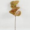 Artificial Plant 10*10*27cm Eucalyptus single stem GS-53422001 Leaves&Sprays&Foliages 3,000+ sqm showroom with thousands of artificial flowers, plants & trees ready for global sourcing.
