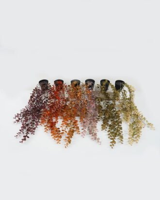 Artificial Plant 23*23*59cm Eucalyptus vine in PP pot GS-05522078 Potted Flowers&Plants YeahFlower is one of Chinese leading OEM manufacturers and exporters , supplying the silk flowers, wholesale artificial trees Artificial Plant 23*23*59cm Eucalyptus vine in PP pot GS-05522078 Potted Flowers&Plants YeahFlower is one of Chinese leading OEM manufacturers and exporters , supplying the silk flowers, wholesale artificial trees