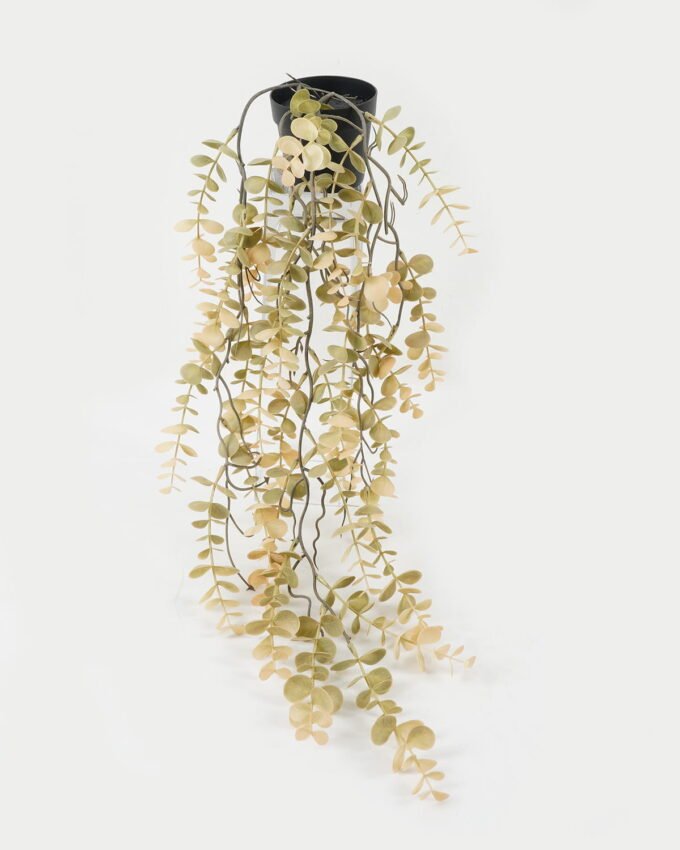 Artificial Plant 23*23*59cm Eucalyptus vine in PP pot GS-05522078 Potted Flowers&Plants YeahFlower is one of Chinese leading OEM manufacturers and exporters , supplying the silk flowers, wholesale artificial trees
