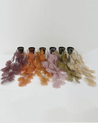 Artificial Plant 23*23*56cm Fan Leaf in PP pot GS-05522069-C1 Potted Flowers&Plants YeahFlower is one of Chinese leading OEM manufacturers and exporters , supplying the silk flowers, wholesale artificial trees