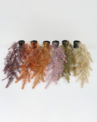 Artificial Plant 25*25*59cm Grass in PP pot GS-05522074 Potted Flowers&Plants YeahFlower is one of Chinese leading OEM manufacturers and exporters , supplying the silk flowers, wholesale artificial trees