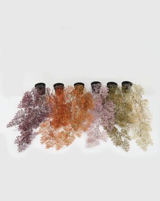 Artificial Plant 23*23*56cm Grass in PP pot GS-05522076 Potted Flowers&Plants YeahFlower is one of Chinese leading OEM manufacturers and exporters , supplying the silk flowers, wholesale artificial trees