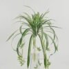 Artificial Plant 40*40*38cm Leaf *4 hanging GS-64221022 Potted Flowers&Plants YeahFlower is one of Chinese leading OEM manufacturers and exporters , supplying the silk flowers, wholesale artificial trees