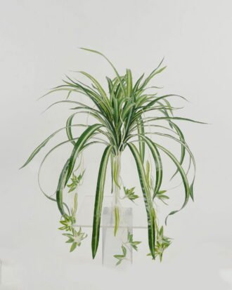 Artificial Plant 40*40*38cm Leaf *4 hanging GS-64221022 Potted Flowers&Plants YeahFlower is one of Chinese leading OEM manufacturers and exporters , supplying the silk flowers, wholesale artificial trees Artificial Plant 40*40*38cm Leaf *4 hanging GS-64221022 Potted Flowers&Plants YeahFlower is one of Chinese leading OEM manufacturers and exporters , supplying the silk flowers, wholesale artificial trees